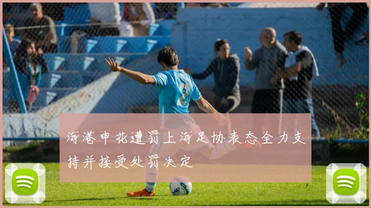 海港申花遭罚上海足协表态全力支持并接受处罚决定